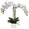 25-Inch Realistic White Orchid Arrangement – Artificial Phalaenopsis Flowers with Natural Leaf Details in Ceramic Pot for Home & Office Decor